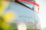 Skoda Kodiaq 4x4 2017 года (AU)